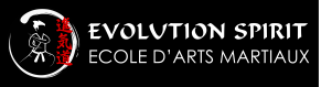 Evolution Spirit école d'arts martieux